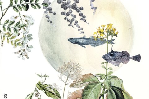 Collage von Renata Kos (Ausschnitt)